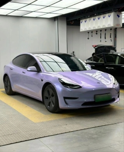 Ravoony Plus Twin Silver Purple Car Vinyl Wrap review Peggy McCann 02