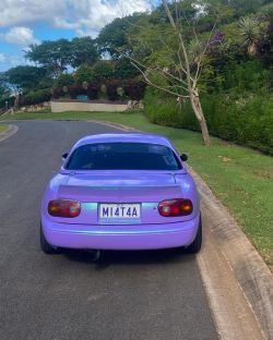 Ravoony Plus Twin Candy Purple Green Car Wrap review Bastian John 05