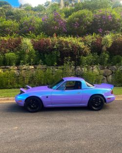 Ravoony Plus Twin Candy Purple Green Car Wrap review Bastian John 04