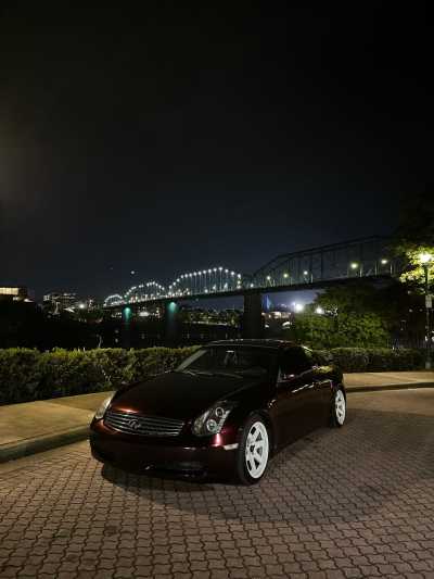 Ravoony Plus Gloss Black Rose Vinyl Wrap review Michal Jura