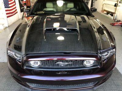 Ravoony Plus Gloss Black Rose Vinyl Wrap review Diego Diaz 00