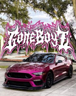 Ravoony Plus PET Glossy Metallic Rubellite Purple Vinyl Wrap review morris hayes