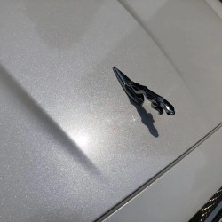 Ravoony Plus Sparkle White Car Vinyl Wrap review Eric Johnson