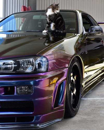 Ravoony Plus Gloss Flowing Phantom Purple Chameleon Wrap review m.w.parker 02