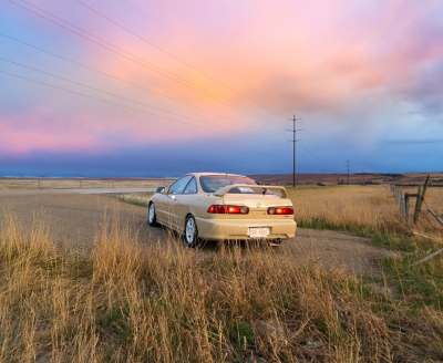 Ravoony Plus Glossy Sunbath Yellow Car Wrap review Logan Thomas 01