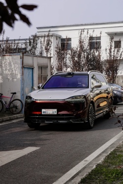 Ravoony Plus Gloss Black Rose Vinyl Wrap review Frank