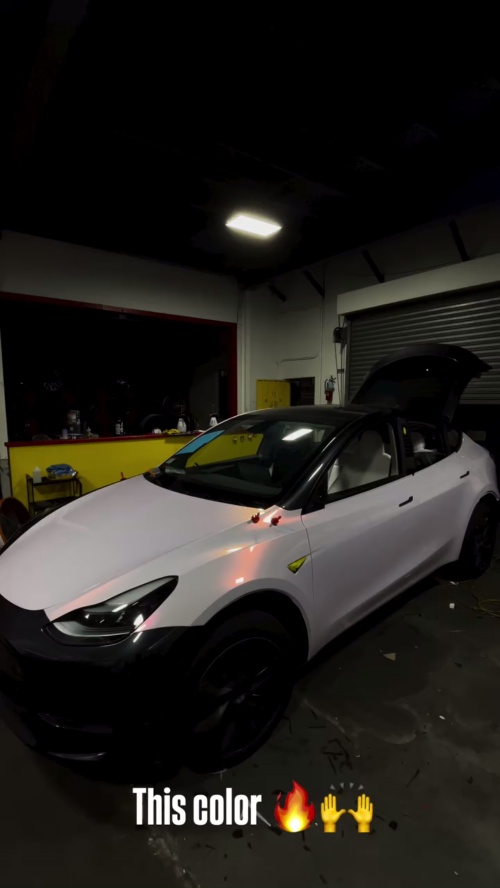 Ravoony Plus Glossy Flower Pink Car Wrap review Justin English