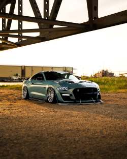  Ravoony Plus Twin Candy Green Gold Car Wrap review Alejandro Giron 02