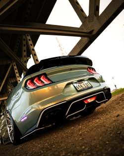  Ravoony Plus Twin Candy Green Gold Car Wrap review Alejandro Giron 03