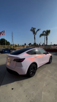 Ravoony Plus Glossy Flower Pink Car Wrap review designlavinyl