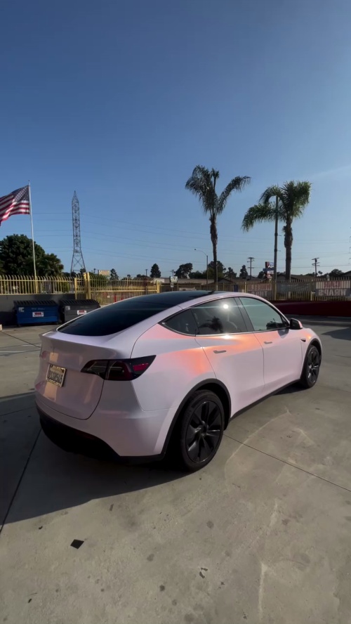 Ravoony Plus Glossy Flower Pink Car Wrap review designlavinyl