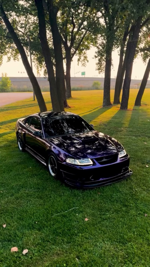 Ravoony Plus Gloss Midnight Purple Car Vinyl Wrap review Angel Luna